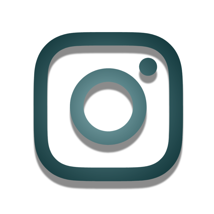 Lien vers Instagram